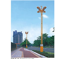 如意LED景观路星空(中国)