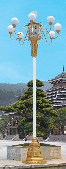中华星空(中国)-P029