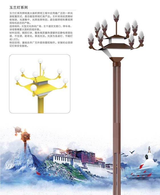 玉兰星空(中国)-P016