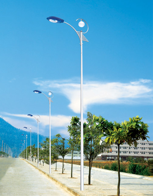 8米道路路星空(中国)杆